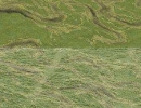 Large Scale Terrain Rendering